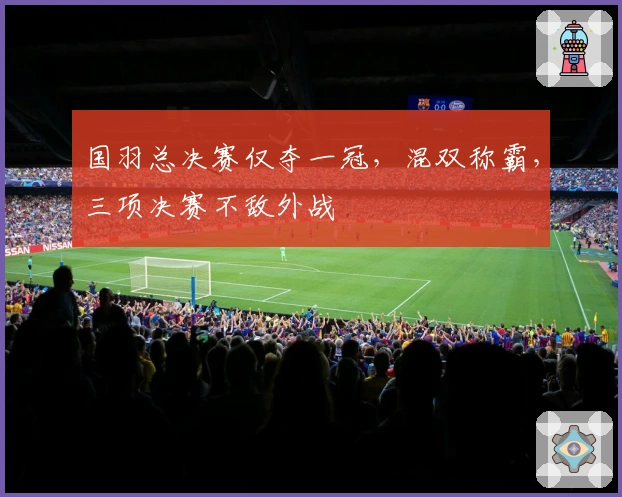 国羽总决赛仅夺一冠，混双称霸，三项决赛不敌外战