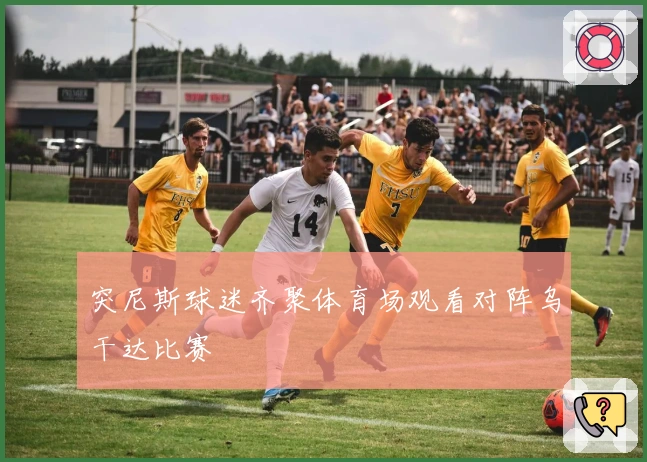 突尼斯球迷齐聚体育场观看对阵乌干达比赛