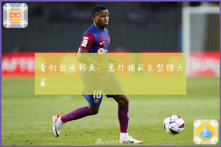 哥们出海钓鱼，意外捕获巨型锤头鲨