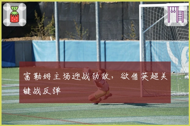 富勒姆主场迎战劲敌，欲借英超关键战反弹