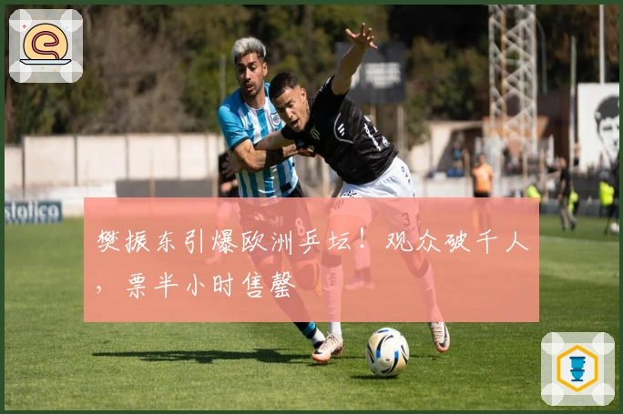 樊振东引爆欧洲乒坛！观众破千人，票半小时售罄