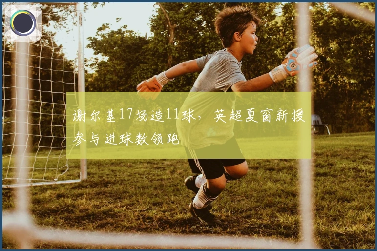 谢尔基17场造11球，英超夏窗新援参与进球数领跑