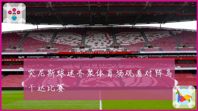 突尼斯球迷齐聚体育场观看对阵乌干达比赛