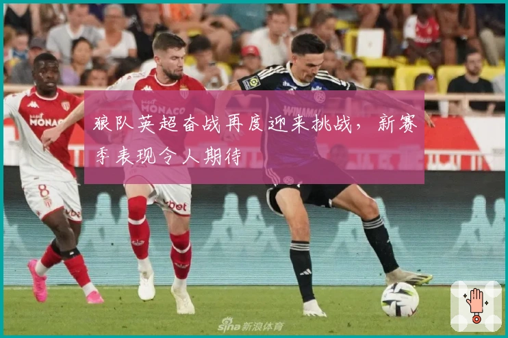 狼队英超奋战再度迎来挑战，新赛季表现令人期待